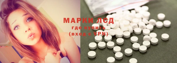 ГАЛЛЮЦИНОГЕННЫЕ ГРИБЫ Беломорск