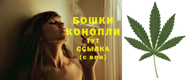 a pvp Белокуриха