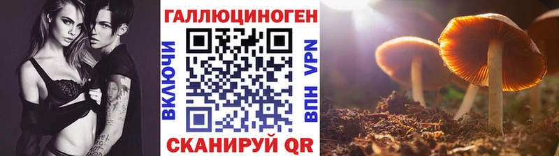Псилоцибиновые грибы мухоморы  hydra как войти  Сызрань 